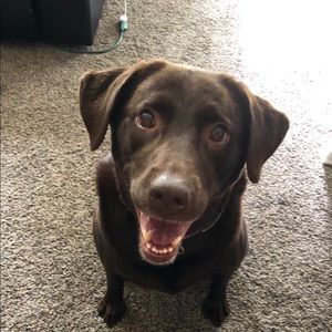 Meet your Posher, Debbie